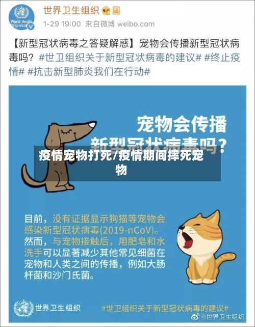 疫情宠物打死/疫情期间摔死宠物