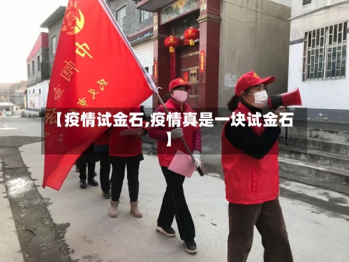 【疫情试金石,疫情真是一块试金石】-第3张图片