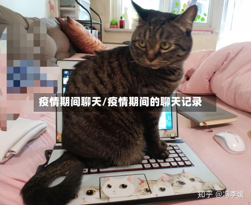 疫情期间聊天/疫情期间的聊天记录-第3张图片