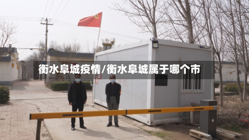 衡水阜城疫情/衡水阜城属于哪个市-第3张图片