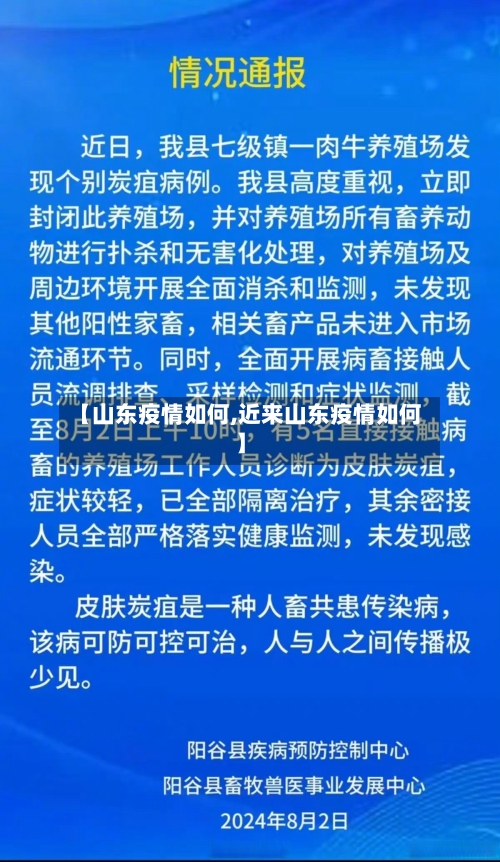 【山东疫情如何,近来山东疫情如何】-第3张图片