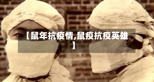 【鼠年抗疫情,鼠疫抗疫英雄】-第2张图片