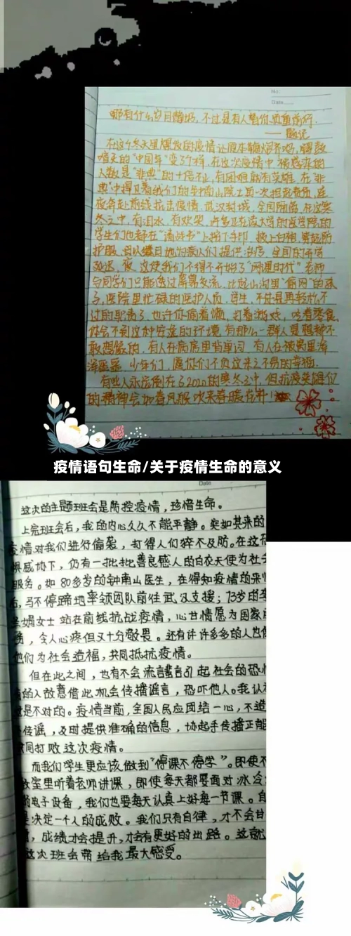 疫情语句生命/关于疫情生命的意义
