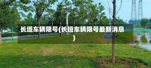 长垣车辆限号(长垣车辆限号最新消息)-第3张图片