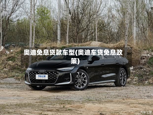 奥迪免息贷款车型(奥迪车贷免息政策)-第3张图片