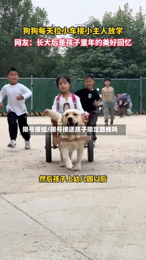 限号接娃/限号接送孩子限定路线吗
