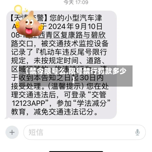 【禁令限号么,限号禁行罚款多少】