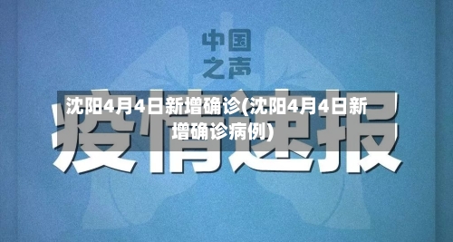 沈阳4月4日新增确诊(沈阳4月4日新增确诊病例)