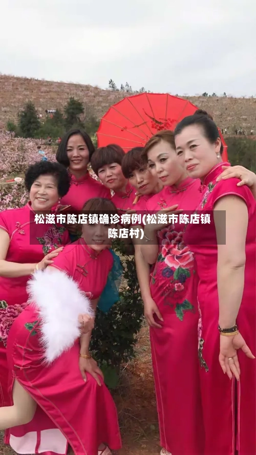 松滋市陈店镇确诊病例(松滋市陈店镇陈店村)