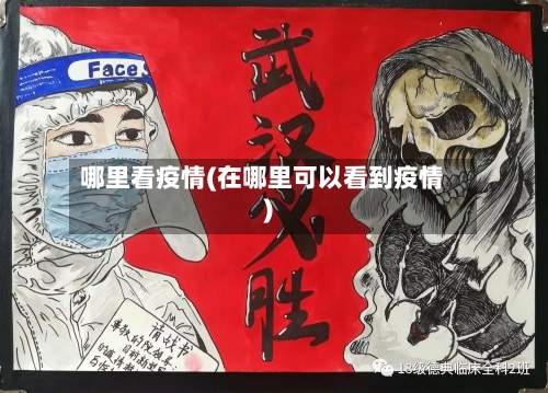 哪里看疫情(在哪里可以看到疫情)-第2张图片
