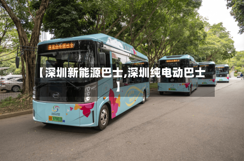 【深圳新能源巴士,深圳纯电动巴士】
