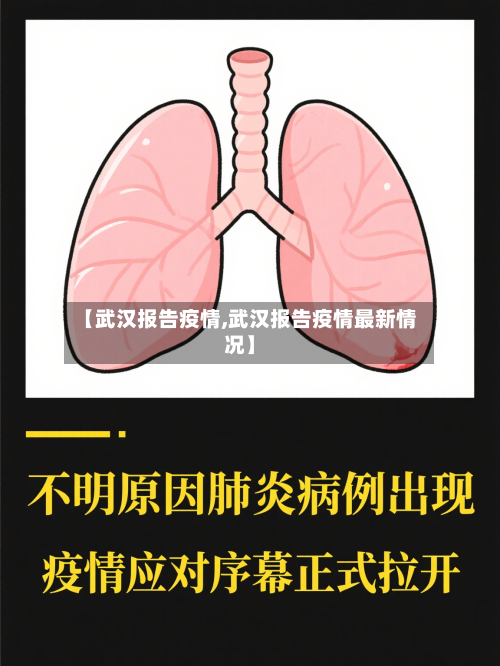 【武汉报告疫情,武汉报告疫情最新情况】-第2张图片