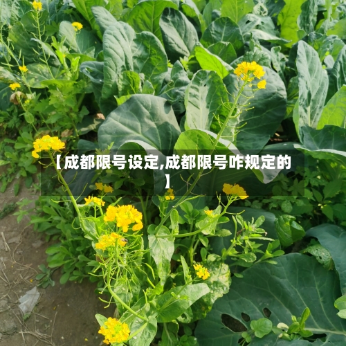 【成都限号设定,成都限号咋规定的】-第3张图片