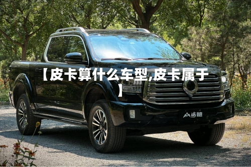 【皮卡算什么车型,皮卡属于】-第3张图片