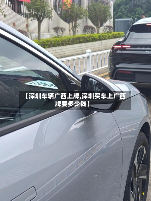 【深圳车辆广西上牌,深圳买车上广西牌要多少钱】-第2张图片