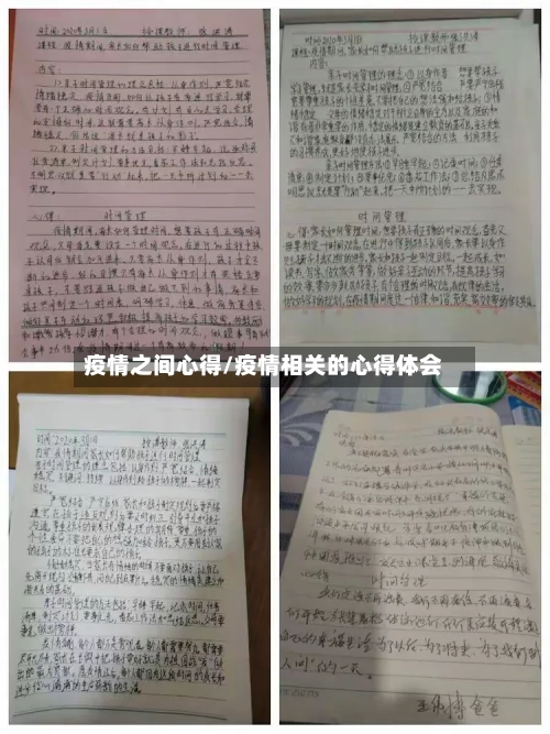 疫情之间心得/疫情相关的心得体会