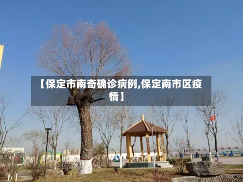 【保定市南奇确诊病例,保定南市区疫情】