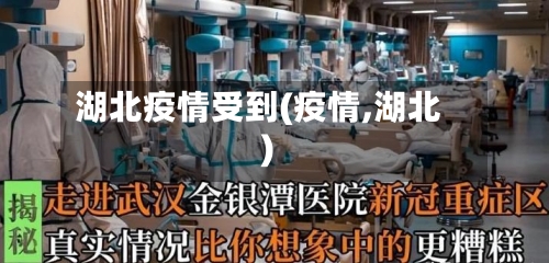 湖北疫情受到(疫情,湖北)-第2张图片