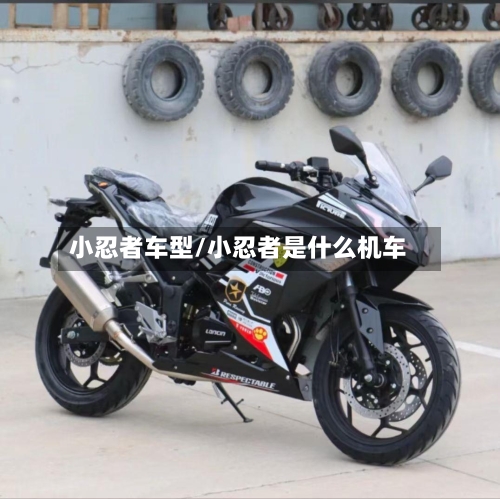 小忍者车型/小忍者是什么机车
