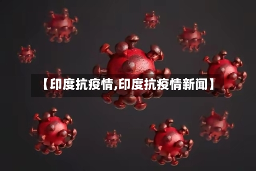 【印度抗疫情,印度抗疫情新闻】-第2张图片