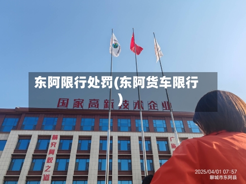 东阿限行处罚(东阿货车限行)