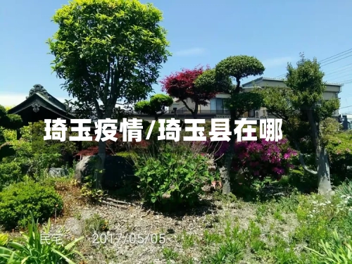 琦玉疫情/琦玉县在哪