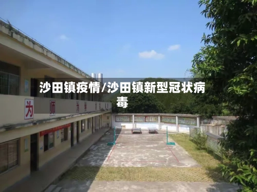沙田镇疫情/沙田镇新型冠状病毒-第2张图片