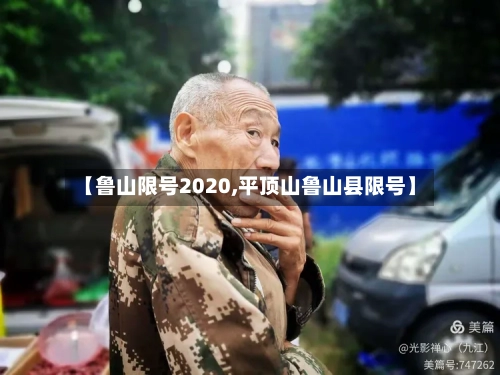 【鲁山限号2020,平顶山鲁山县限号】