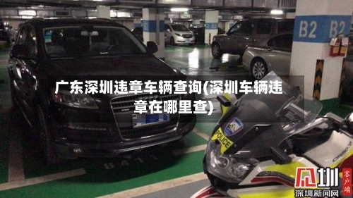 广东深圳违章车辆查询(深圳车辆违章在哪里查)-第2张图片