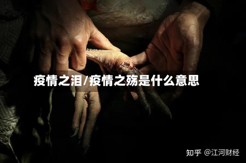 疫情之泪/疫情之殇是什么意思-第2张图片