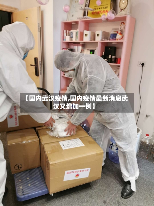 【国内武汉疫情,国内疫情最新消息武汉又增加一例】
