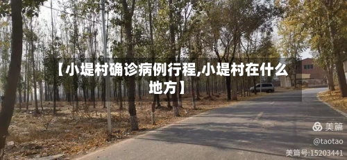 【小堤村确诊病例行程,小堤村在什么地方】-第2张图片