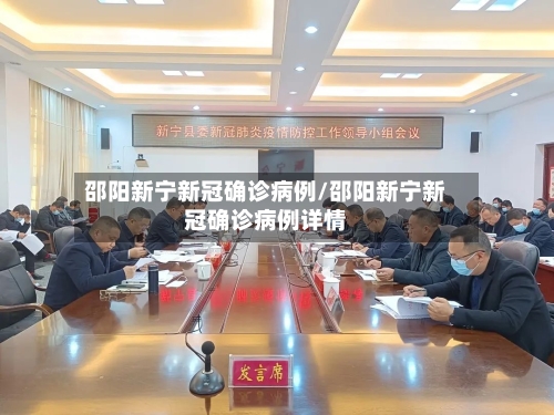 邵阳新宁新冠确诊病例/邵阳新宁新冠确诊病例详情
