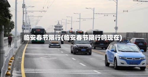 临安春节限行(临安春节限行吗现在)